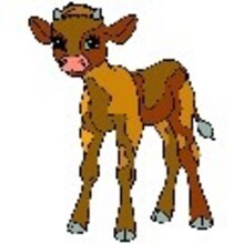 storefront avatar